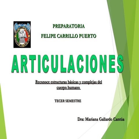 Artculaciones