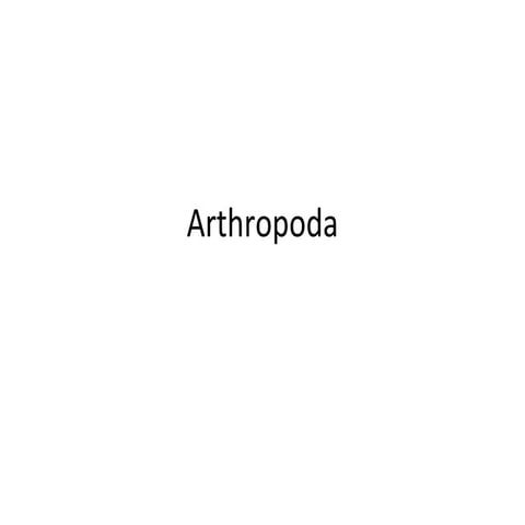 Arthropoda