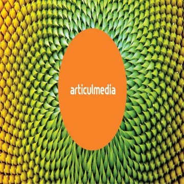 Articul agency presentation