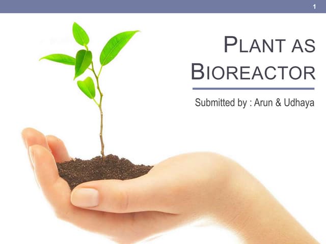plant as bioreactor