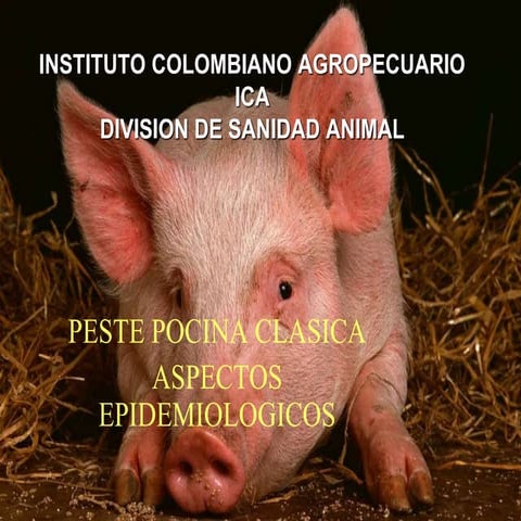 ASPECTOS EPIDEMIOLO PPC.ppt