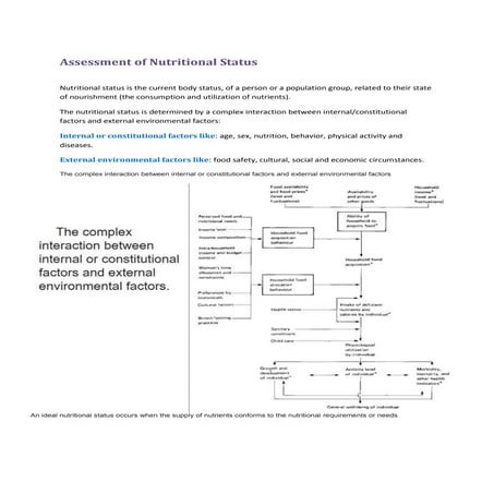 Assessment of nutritional status