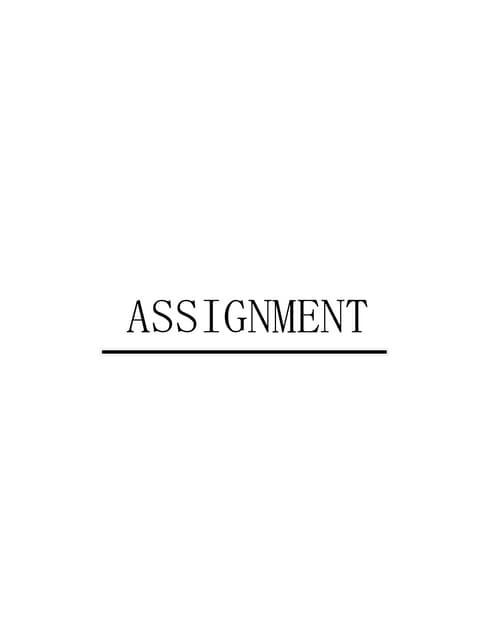 Assignment (1)