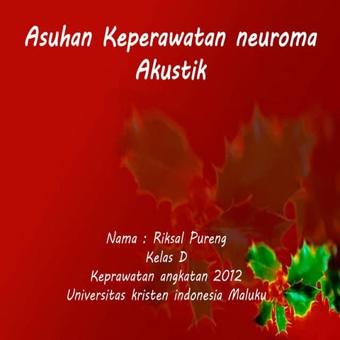 Asuhan keperawatan neuromaakustik