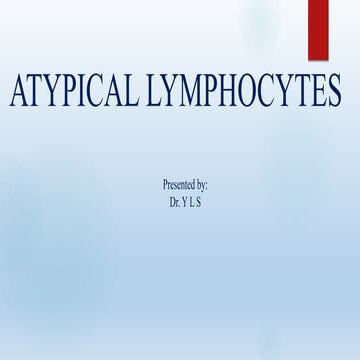 Atypical lymphocytes