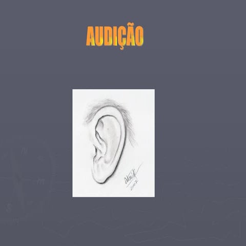 Audicao(1)