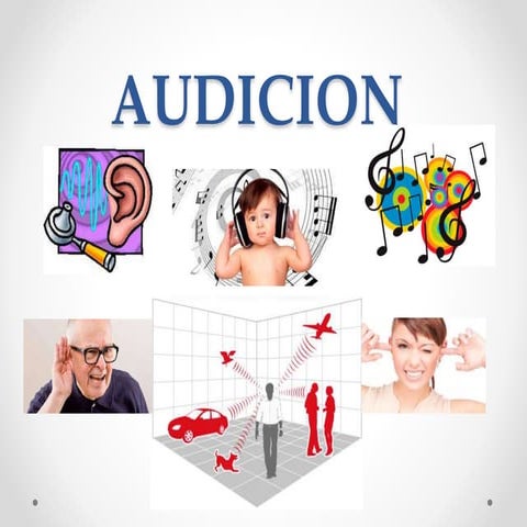 Audicion