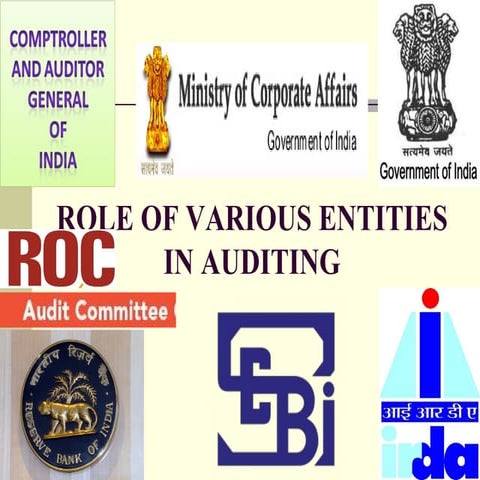 ROLE OF VARIOUS ENTITIES IN INDIA IN AUDITING