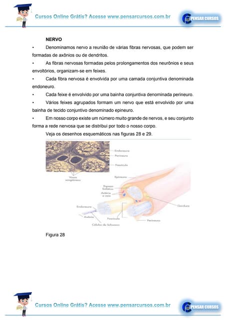 aula-02.pdf