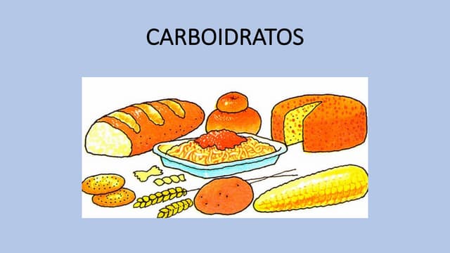 AULA 3 - MACRONUTRIENTES EM ATIVIDADE FÍSICA(CH e L).pdf