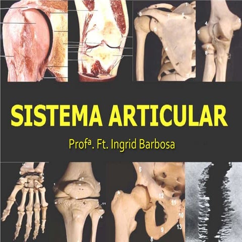 Aula 7   sist. articular estagio