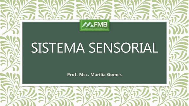 Sistema sensorial - anatomia humana