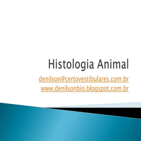 Aula de histologia