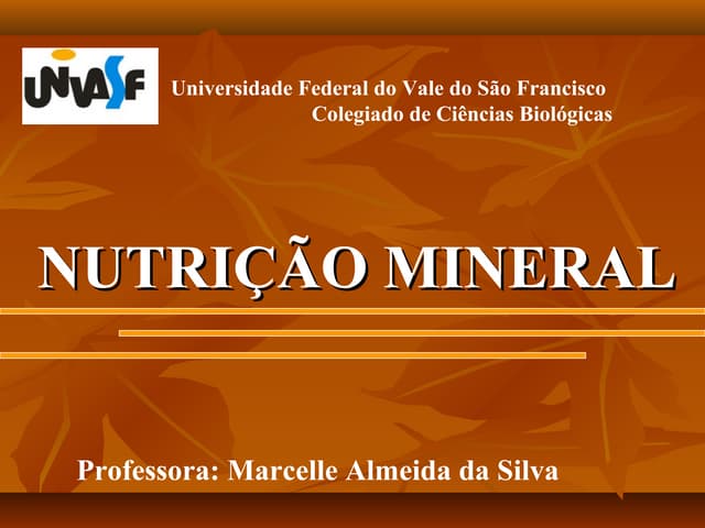 Aula de nutrição mineral
