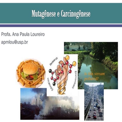 Aula Mutagênese e Carcinogênese - slides PDF.pdf
