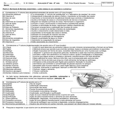 Aval 8 ano(dig_resp_dsts)2