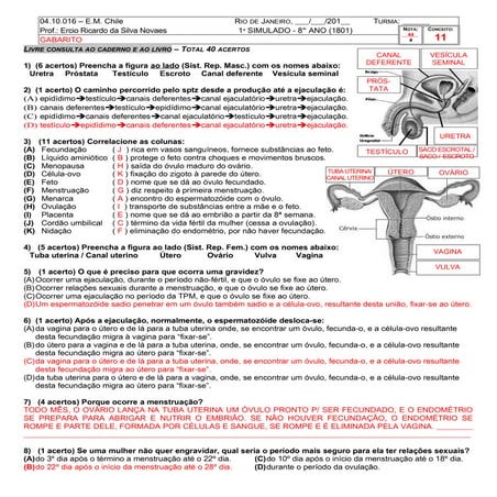 Aval 8 ano(rep_grav_dsts)gab