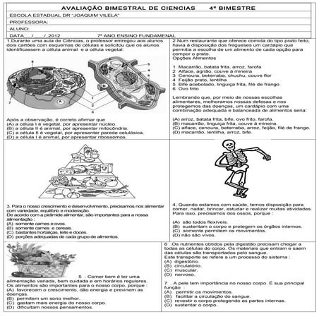 Avaliação bimestral de ciencias      4ºbim estre  7ºano