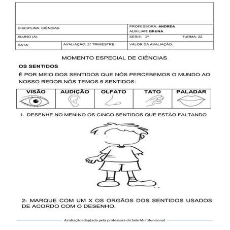 Avaliação ciencias 
