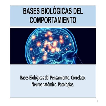 Bases Biológicas del Pensamiento. Correlato. Neuroanatómico. Patologías.