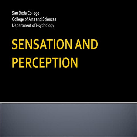 B. sensation and perception