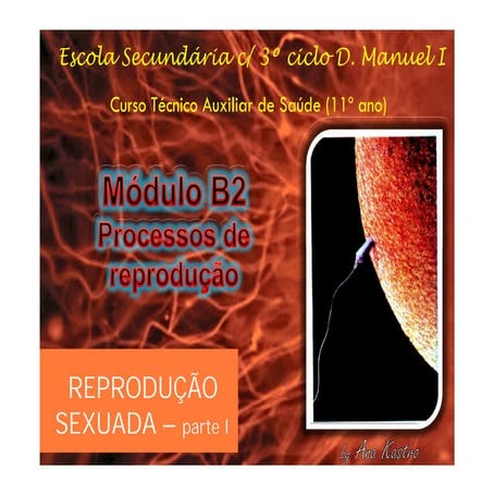 Reprodução sexuada e meiose (parte I)