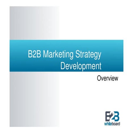 Business Marketing Strategy Development