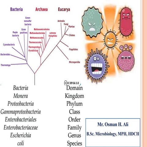 Bacterial taxonomy.pptx
