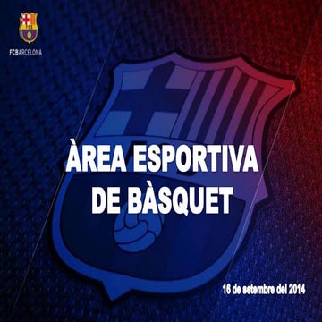 Balanç Àrea Esportiva Bàsquet (Estiu 2014)