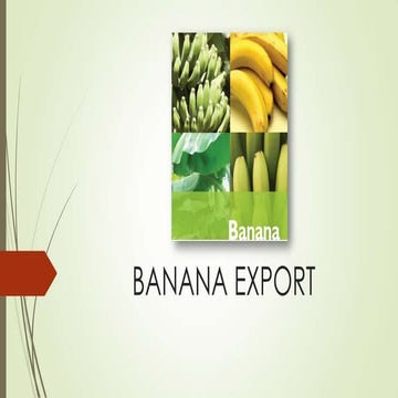 Banana exports from India and procedure.