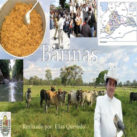 Barinas