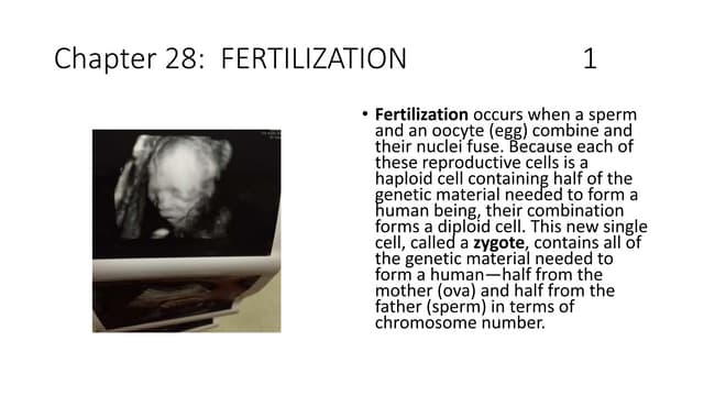 Basic ap chapter 28 powerpoint  2017