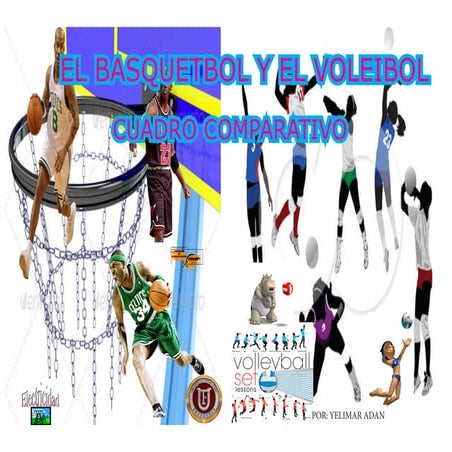 Basquetbol y voleibol