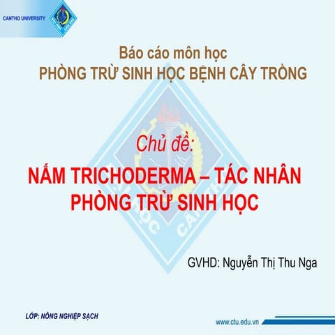 trichoderma