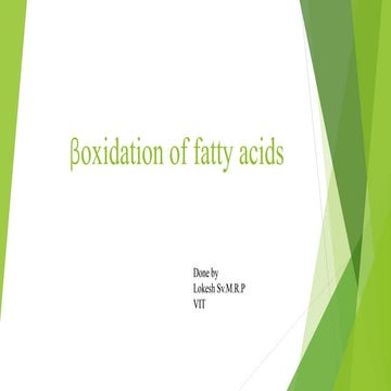 Beta oxidation OF Fatty Acids