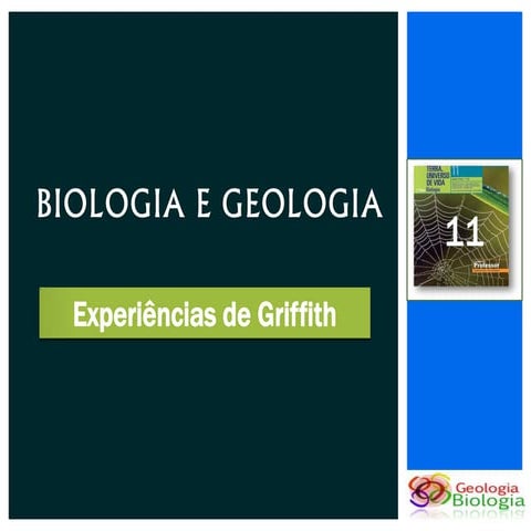 Bg 11   experiências de frederick griffith