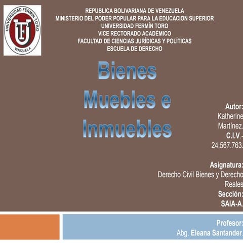 Bienes y su clasificación