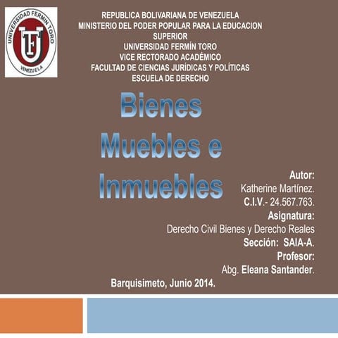 Bienes y su clasificación