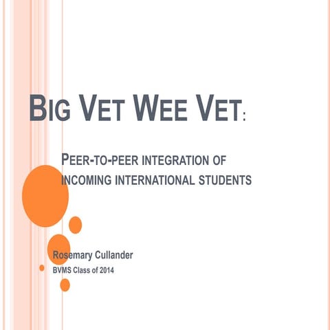 CMVLS Big Vet Wee Vet 