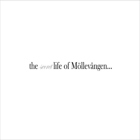 The Secret Life of Möllevången 