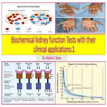 Biochemical kidney function tests with their clinical applications