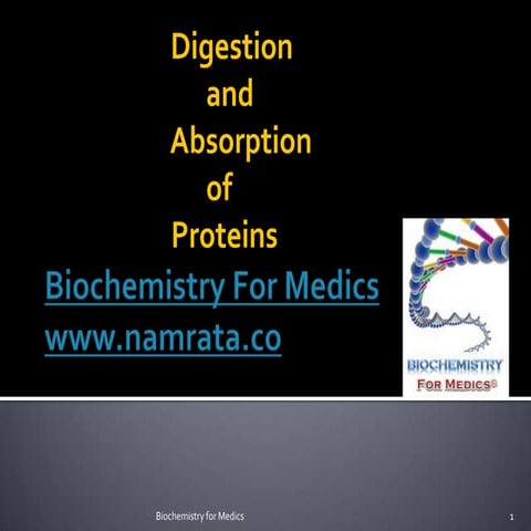 Digestion and Absorption of Proteins