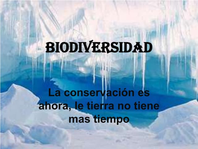 Biodiversidad