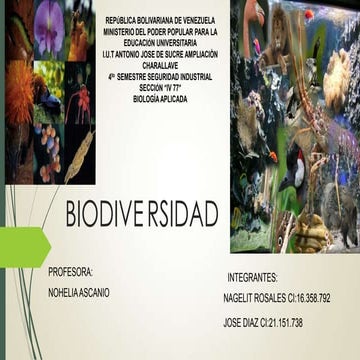 Biodiversidad 