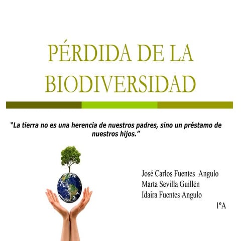 Pérdida de la biodiversidad 