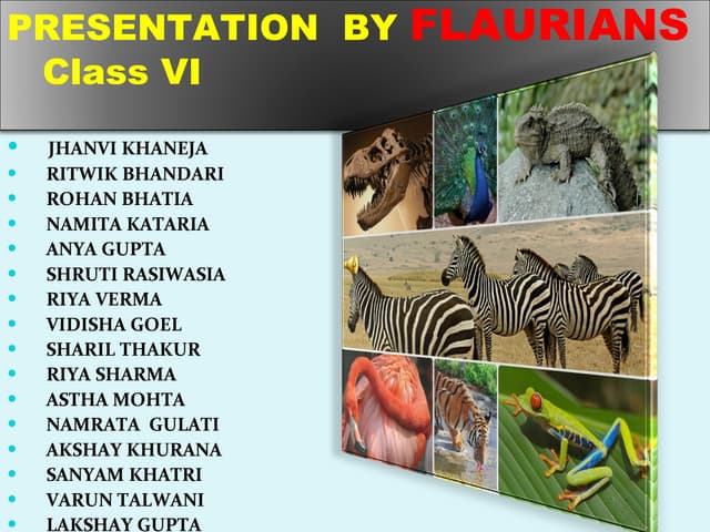 Biodiversity - Quality Circle of class VI