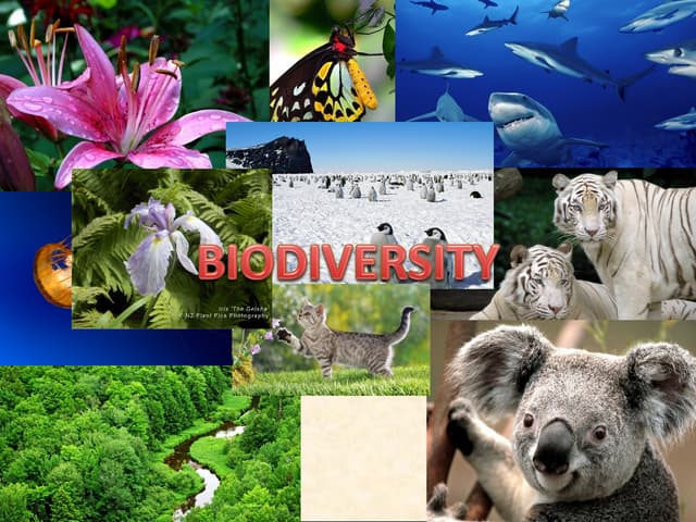Biodiversity