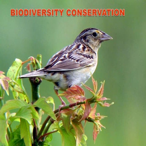 Biodiversity conservation