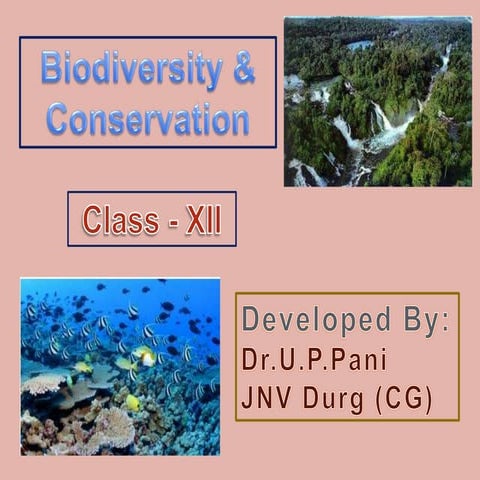 Biodiversity and conservation