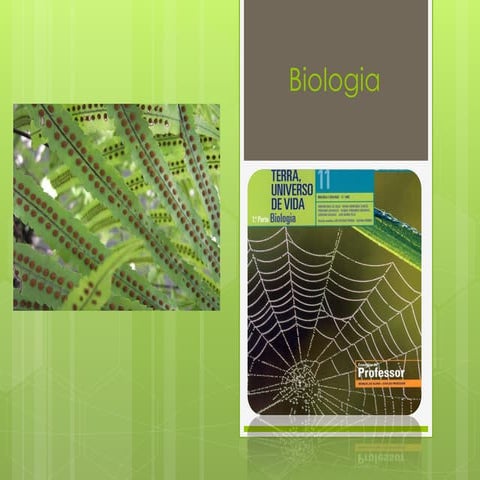 Biologia 11   ciclos de vida